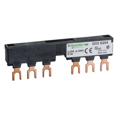 GV2G254 - Schneider Electric - TeSys GV - kolmepooluseline elektrikatkesti - 63A - 2 haru - samm 54 mm