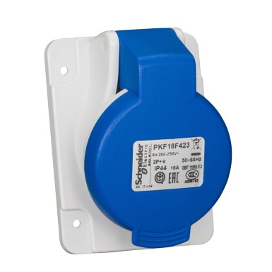 PKF16F423 - Schneider Electric - PratiKa - kaldpistikupesa -16A - 2P+E - 200-250 V AC - IP44 - kruvi