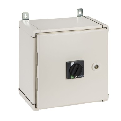 31208 - Individuaalne korpus, Compact INS40 kuni INS160, pikendatud standardne pöörlev käepide, teras, IP55 - Schneider Electric - Individuaalne korpus, Compact INS40 kuni INS160, pikendatud standardne pöörlev käepide, teras, IP55 - Schneider Electric - 0