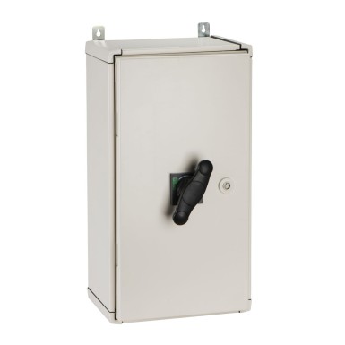 31212 - Individuaalne korpus, Compact INS320 kuni INS630, pikendatud standardne pöörlev käepide, plekk, IP55 - Schneider Electric - Individuaalne korpus, Compact INS320 kuni INS630, pikendatud standardne pöörlev käepide, plekk, IP55 - Schneider Electric - 0