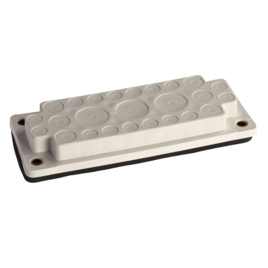 NSYAECPFLA25 - Membraan kaabli sissepääsu FL21 25 sissepääsuga 3x30mm + 6x18mm + 16x14mm. - Schneider Electric - Membraan kaabli sissepääsu FL21 25 sissepääsuga 3x30mm + 6x18mm + 16x14mm. - Schneider Electric - 0