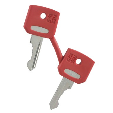 ZBGF034 - PUNANE KEY FIAT - Schneider Electric - PUNANE KEY FIAT - Schneider Electric - 0